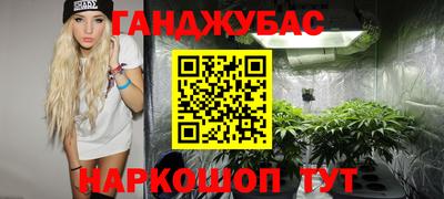 Альфа ПВП Новодвинск