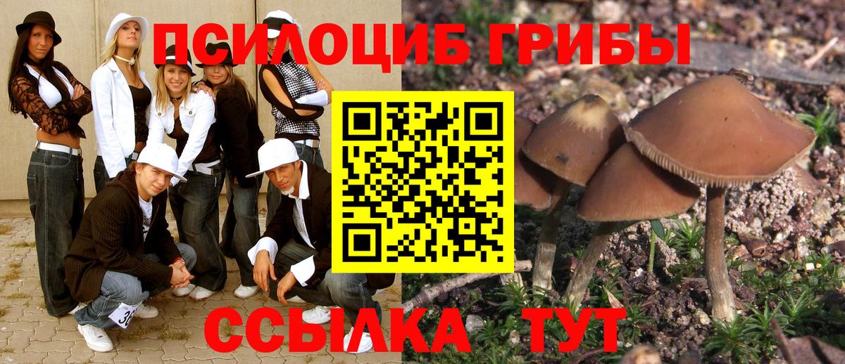 Галлюциногенные грибы Magic Shrooms Острогожск