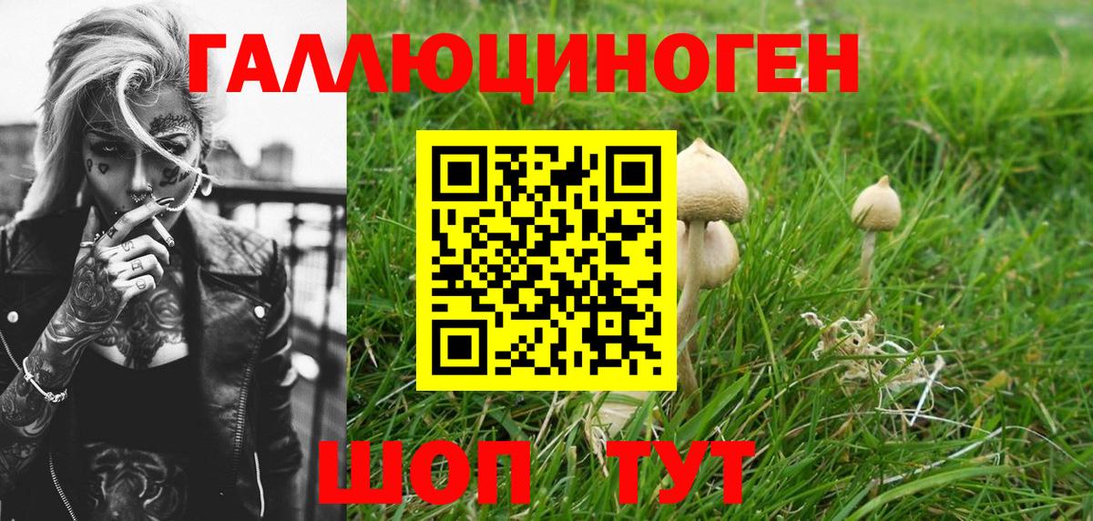 Псилоцибиновые грибы Cubensis  Псилоцибиновые грибы MAGIC MUSHROOMS  Острогожск  Вход с VPN 